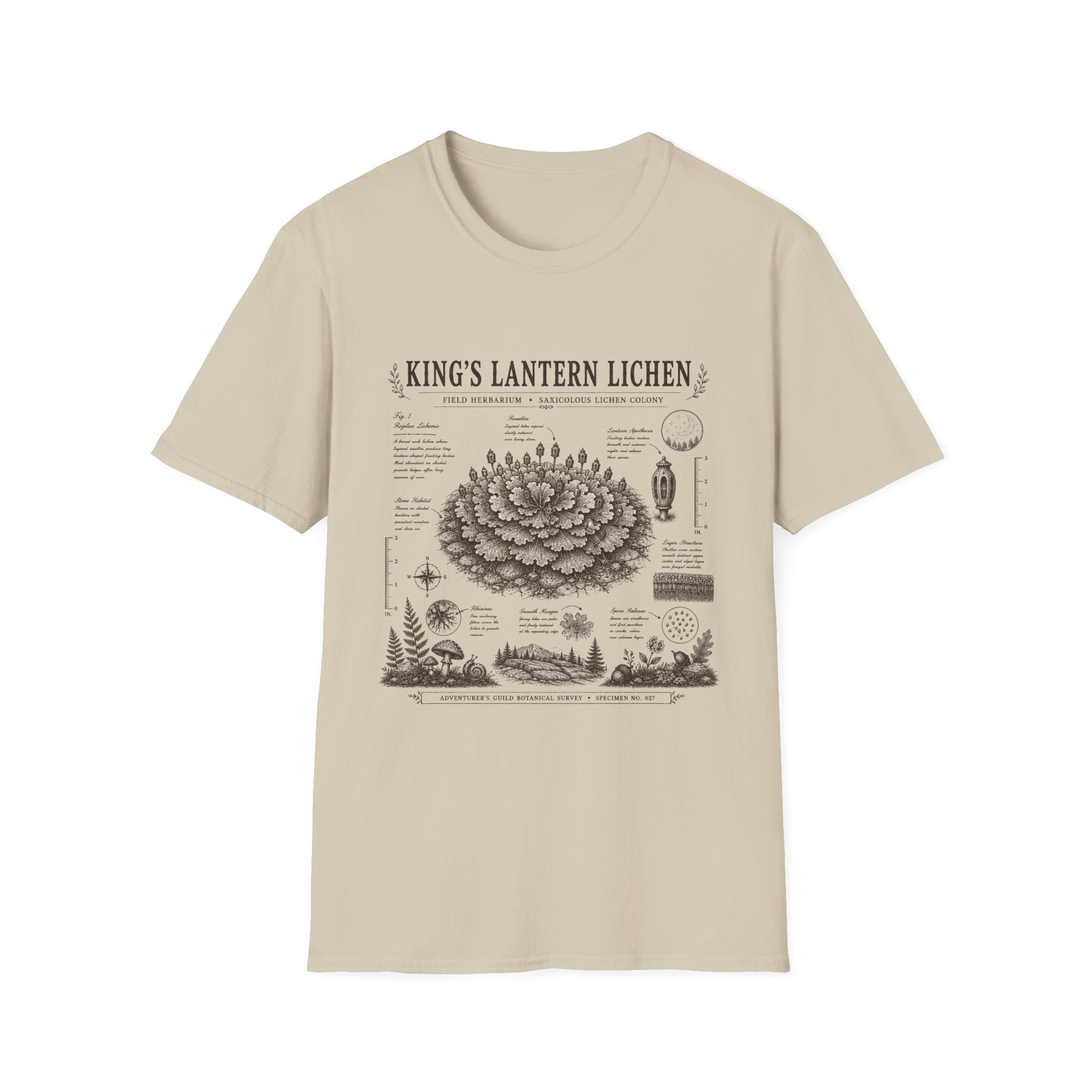 King’s Lantern Lichen Herbarium Plate T-Shirt
